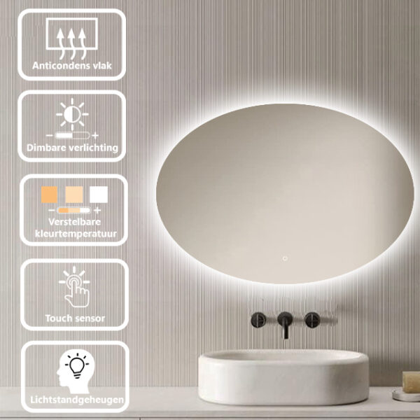 Badkamerspiegel Rondo 100x70cm specificaties
